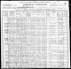 1900 United States Federal Census - Lee Bowles Family