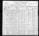 1900 United States Federal Census - Catharine (Grayson) Higgins Family