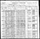 1900 United States Federal Census - George Washington Lisby and Pleasant Travis Families