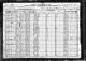 1920 United States Federal Census - Allen Riddle and Walter Anderson Routon Families