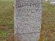 Headstone Inscription for Diantha Ann (Davis) Arney
